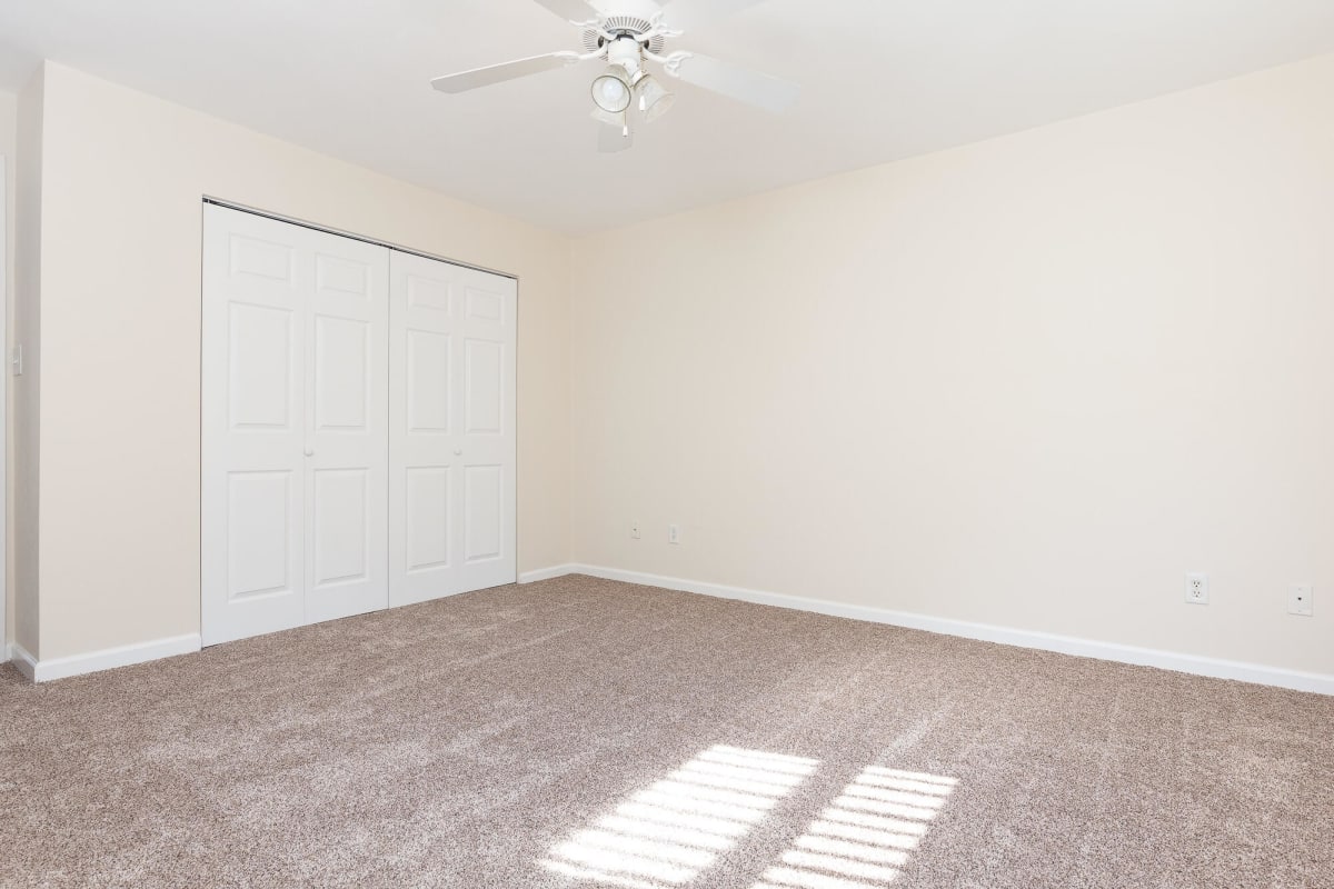 Photos and Video of Storyboard on Wisteria in Swansea, IL